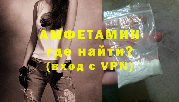 дурь Ельня