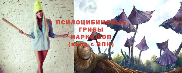 прущий лед Дмитров