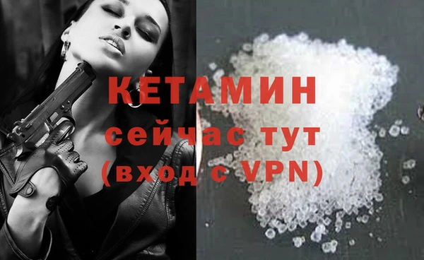 СК Дмитровск