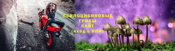 прущий лед Дмитров