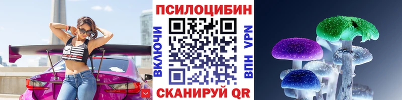 Купить закладки  Отрадный  Галлюциногенные грибы прущие грибы 