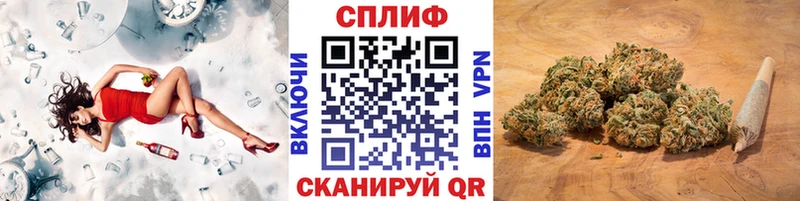 Марихуана план  Купить  Отрадный 